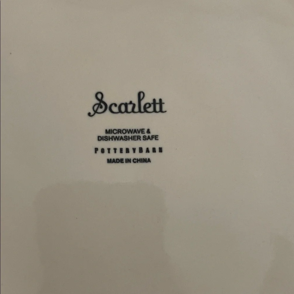 Pottery Barn Scarlett Cream Paisley Ceramic Dinner Plates - Set of 3